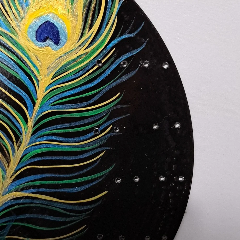 Hand Crafted Jewelry Display Upcycled Vinyl Record Wall Art Peacock Feather - Picture 14 of 17